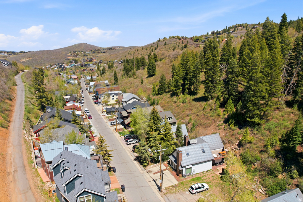 Hillside community featuring a paved street, natural landscaping, and mature evergreen trees