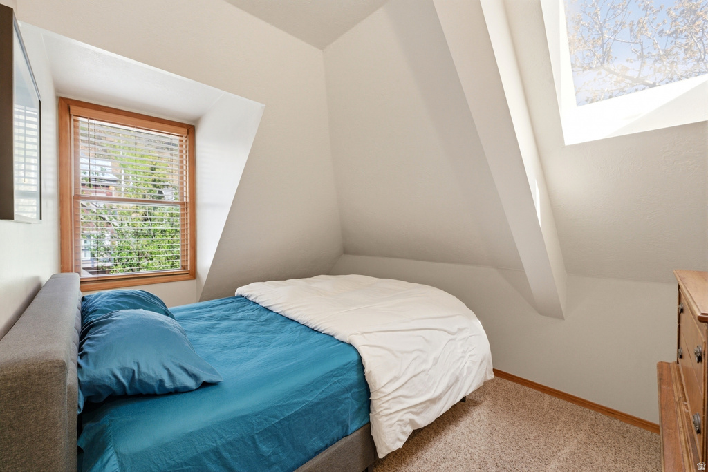 Bedroom featuring sloped ceilings, a wood-framed window with blinds, and a skylight