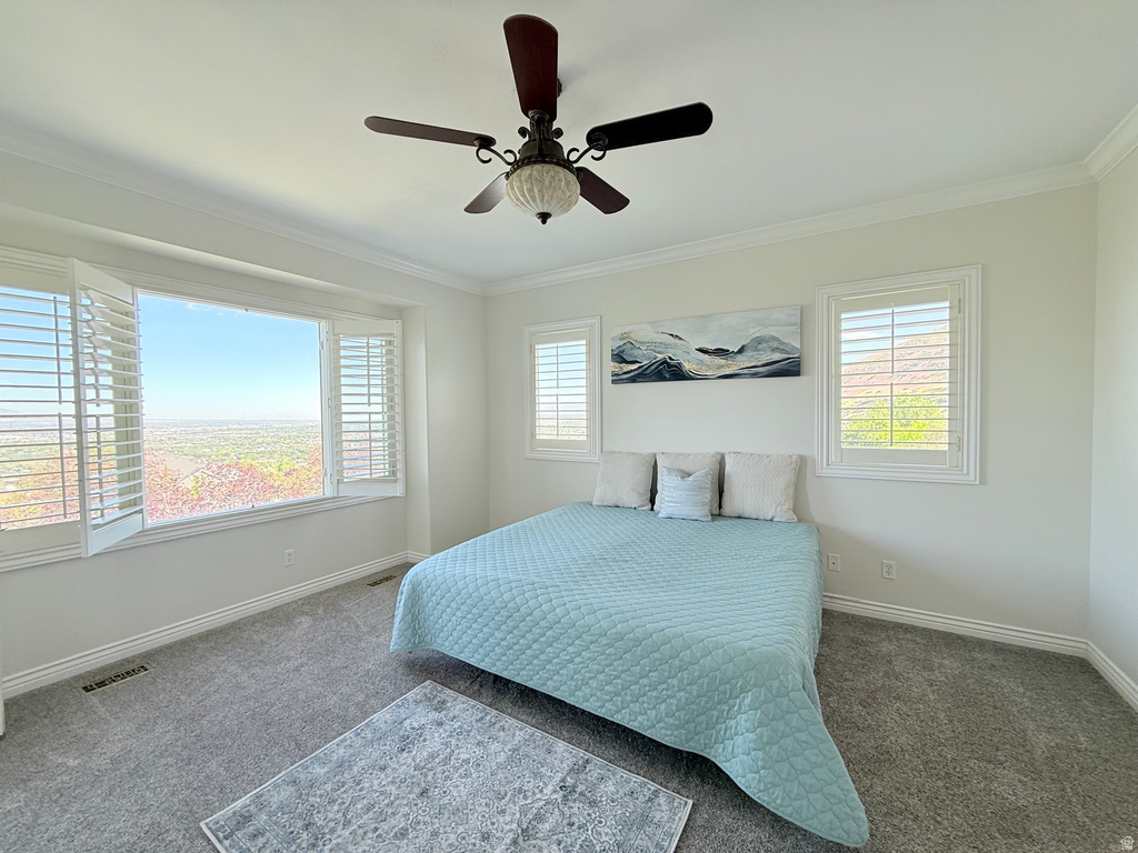 Spacious room featuring a wide picture window, two additional windows, and white plantation shutters