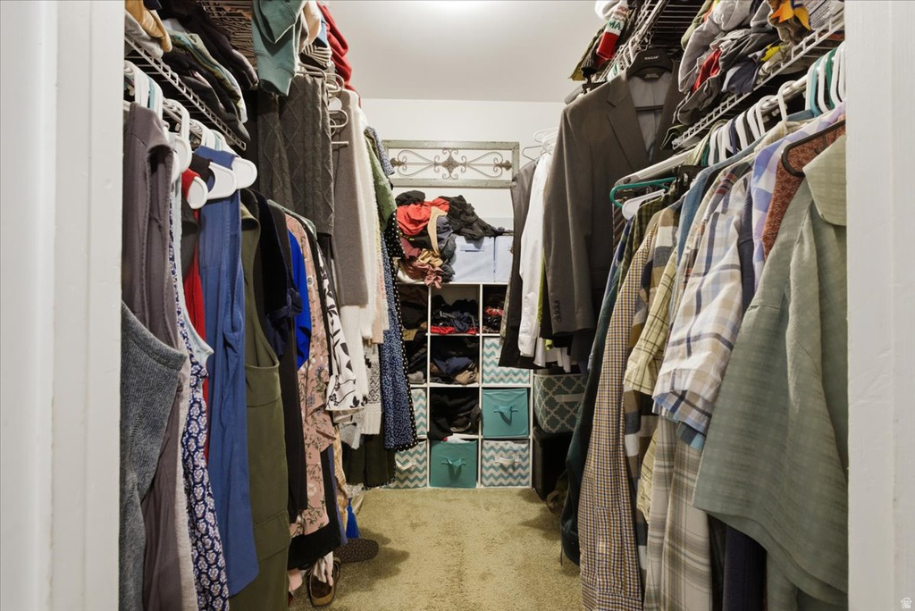 Walk-in closet featuring carpeted flooring and white walls