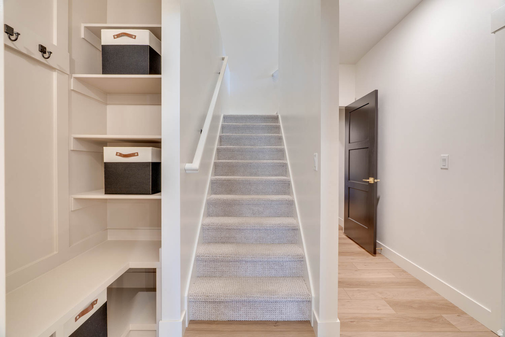 Carpeted staircase with white handrail, light wood-finish flooring, and a dark panel door