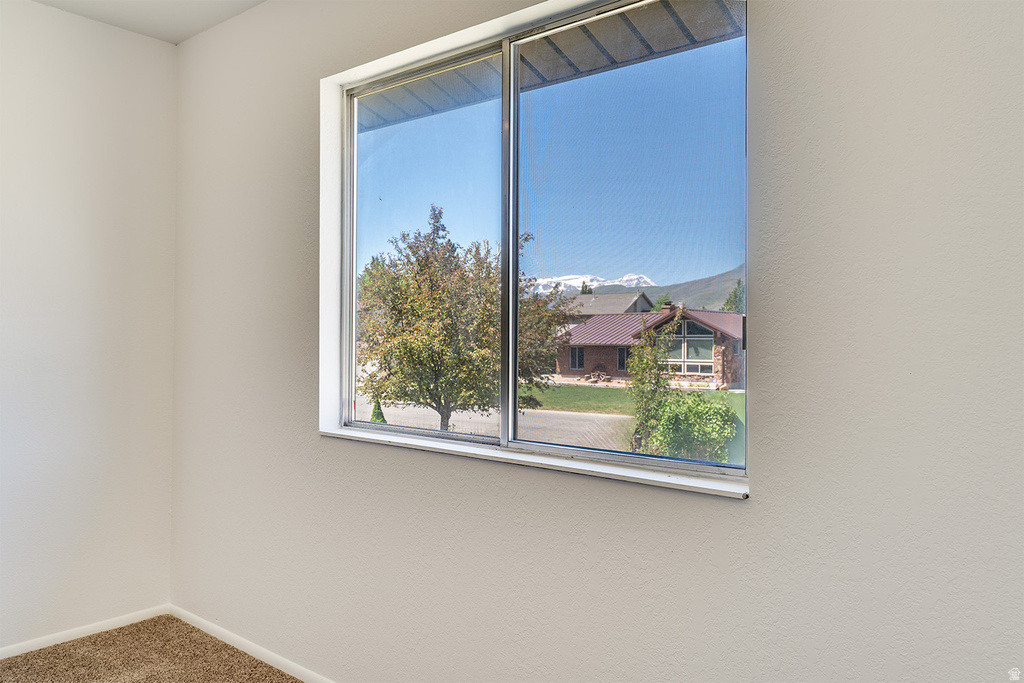 Window with white frame and multi-pane glass