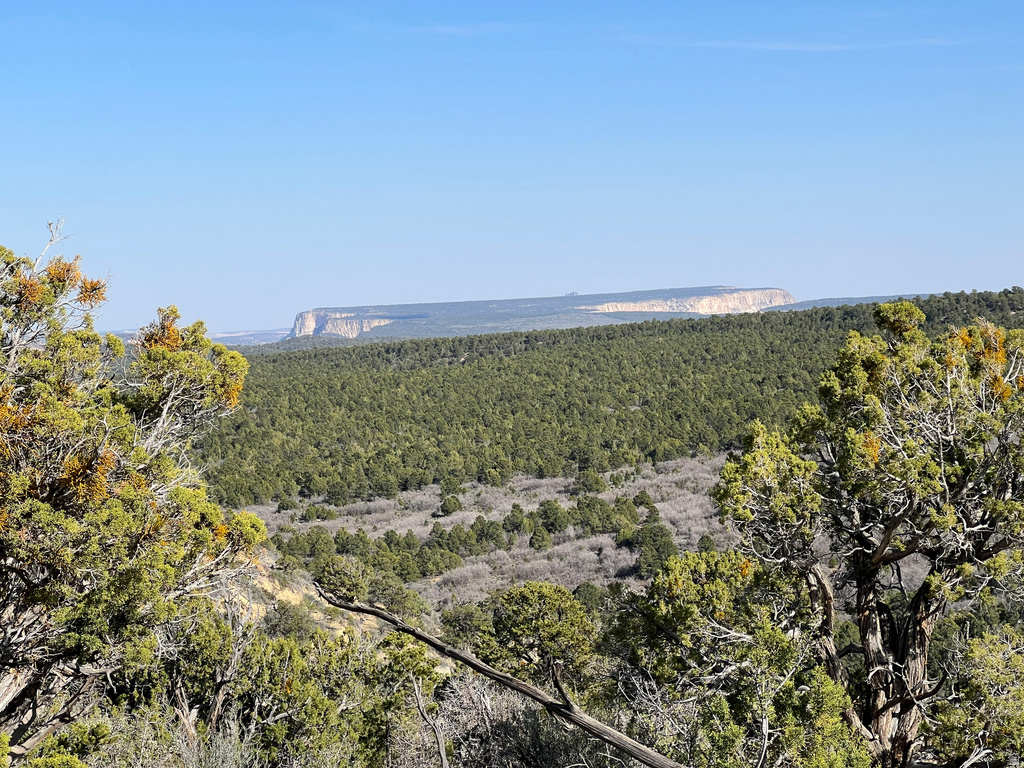 39 Upper Lick Rd #39, Kanab, UT 84741