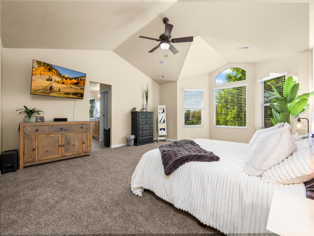 Vaulted ceilings featuring a ceiling fan, plush carpeting, multiple windows with blinds, an arched window, and a recessed ceiling area