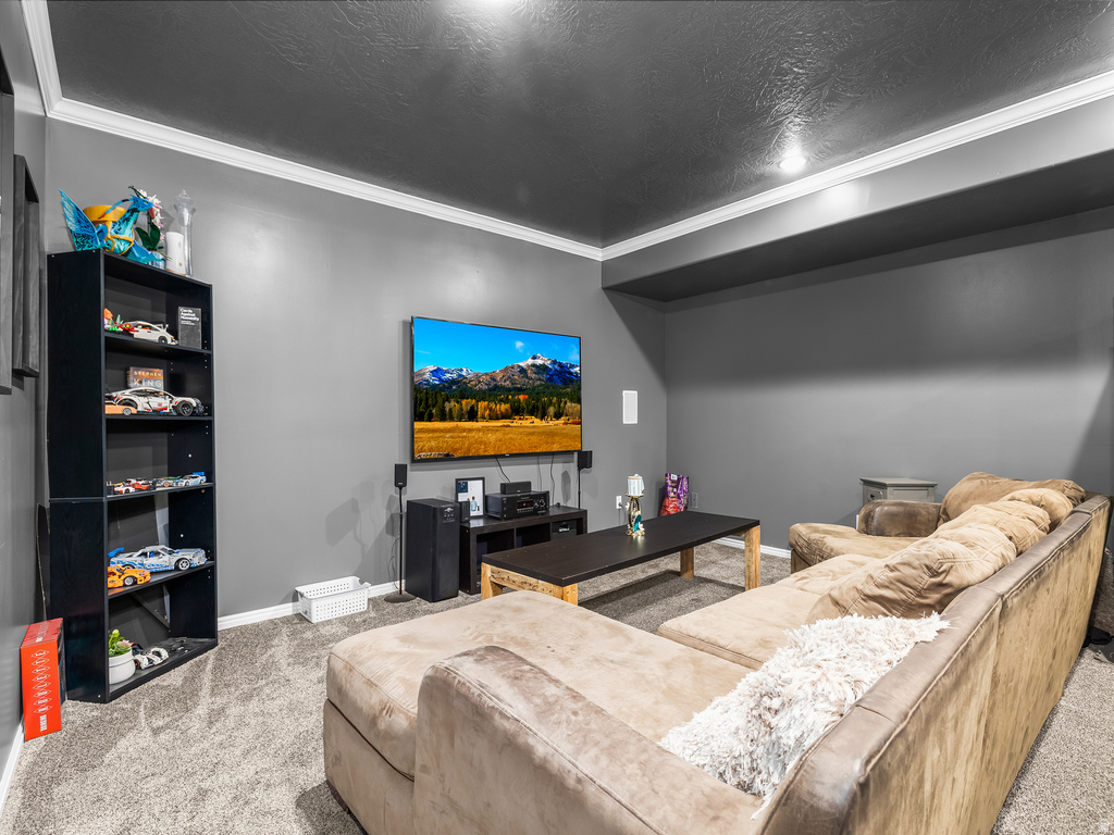 Carpeted media room featuring dark gray walls, a built-in entertainment console, a wall-mounted display, and white crown molding