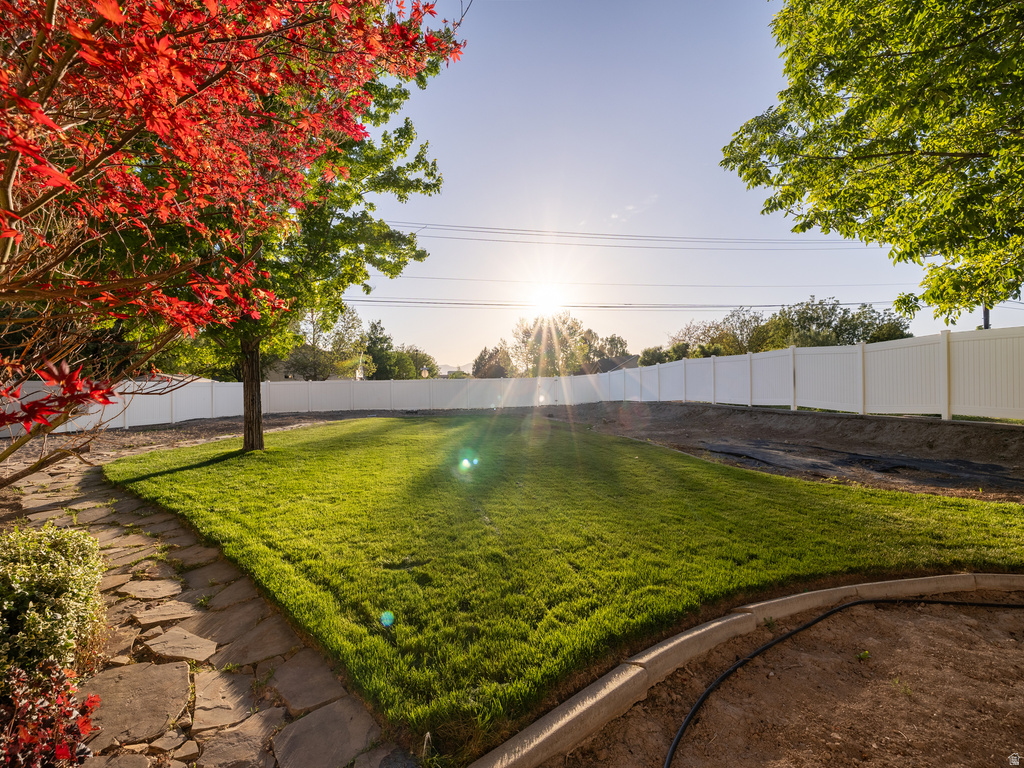 Expansive backyard featuring a lush lawn, established trees including a vibrant red-leafed specimen, a flagstone pathway, and a perimeter vinyl privacy fence