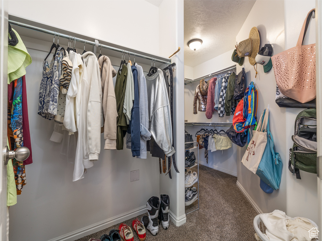 Walk-in closet featuring carpeted flooring, multiple hanging rods, built-in shelving, and recessed lighting