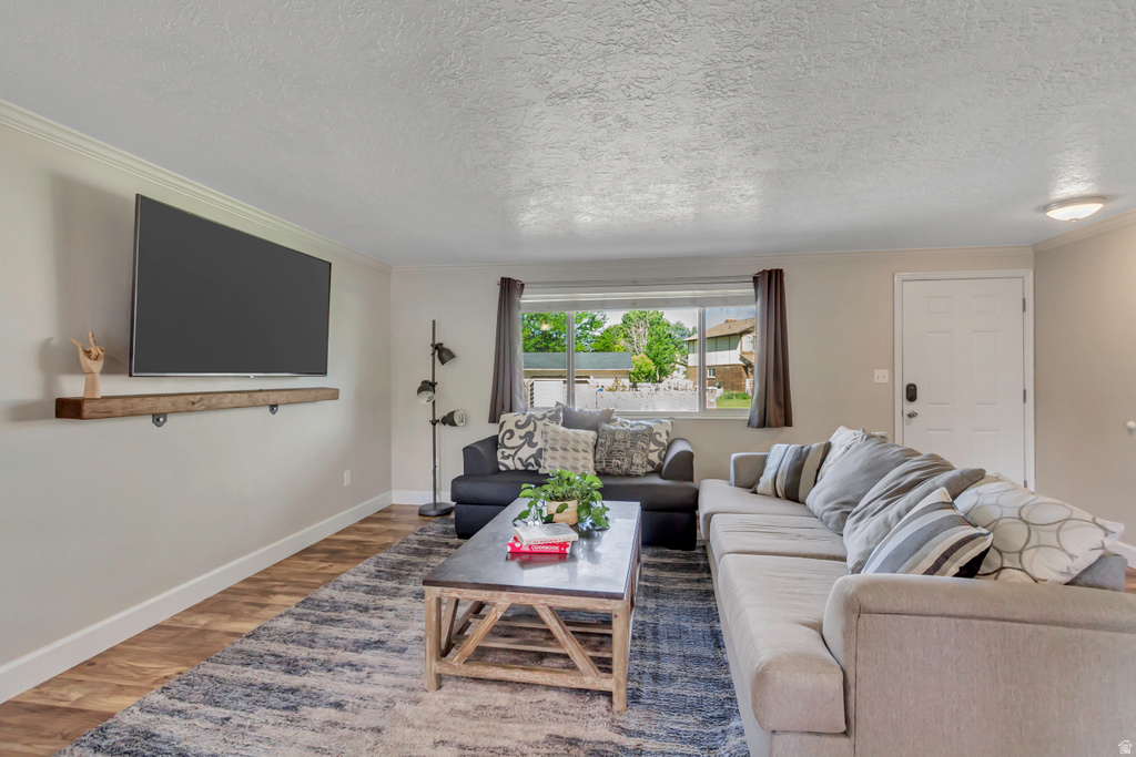 Spacious living area featuring wood-finish flooring, light neutral wall tones, and crown molding