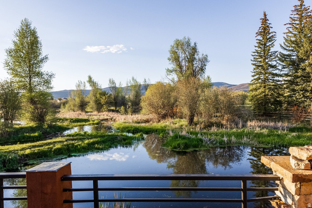 Expansive pond-front landscape featuring mature trees, natural vegetation, and distant mountains