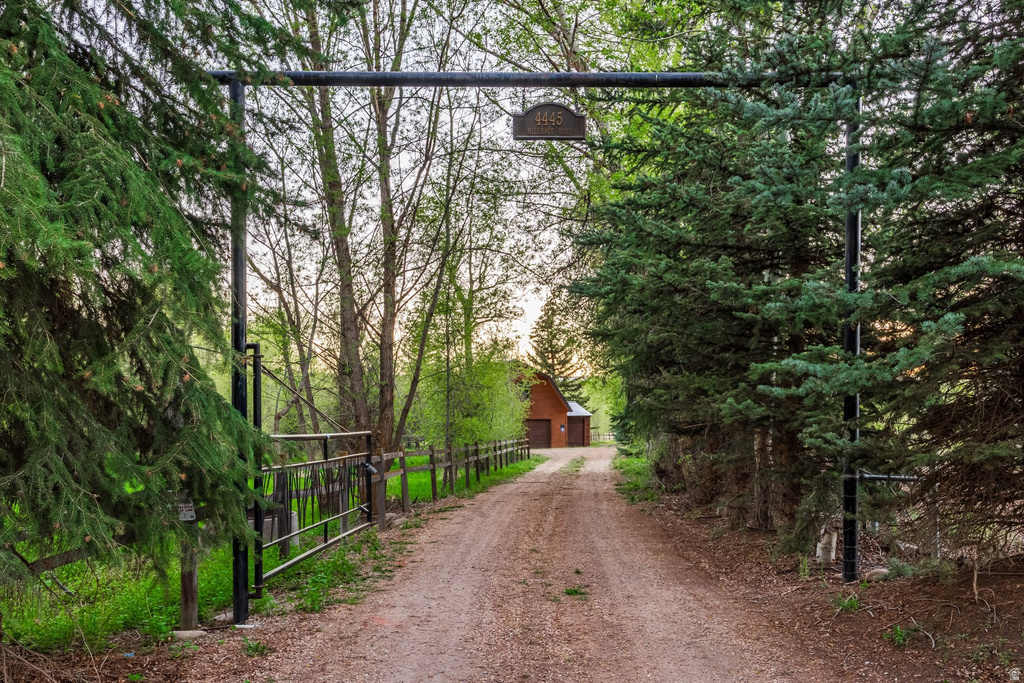 Gated property entrance with a gravel driveway, surrounded by mature evergreen trees and a rustic wooden fence