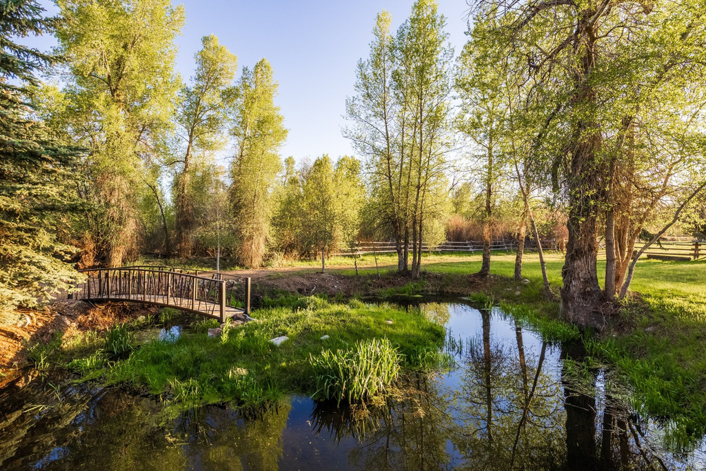 Wood footbridge crossing a natural water feature surrounded by mature trees and lush greenery