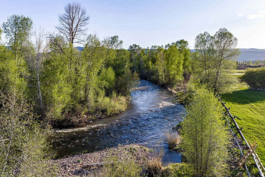 Natural river winding through a landscape of lush green trees and foliage
