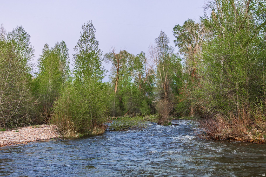 Natural water feature with a stone riverbank, surrounded by mature deciduous trees and lush green foliage