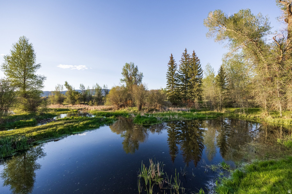 Expansive private pond with clear reflections of surrounding evergreen and deciduous trees