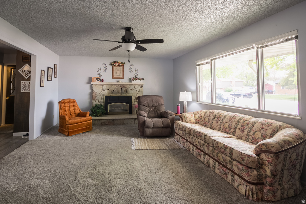 344 N 250 W photo 3