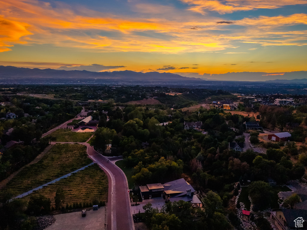 Expansive property featuring a paved private road, mature landscaping, and vineyard rows