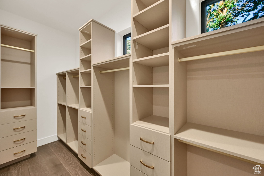 Custom closet system featuring varied shelving, hanging rods, and drawers with curved brass hardware