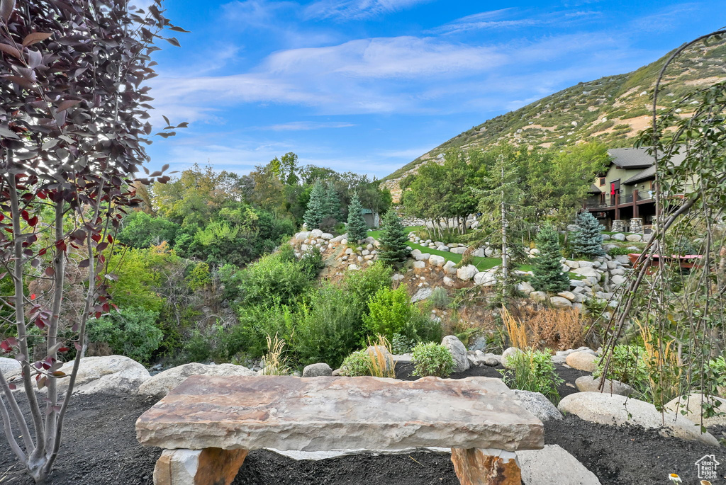 Expansive natural landscaping featuring a rustic stone bench, diverse mature trees, and a mountain backdrop