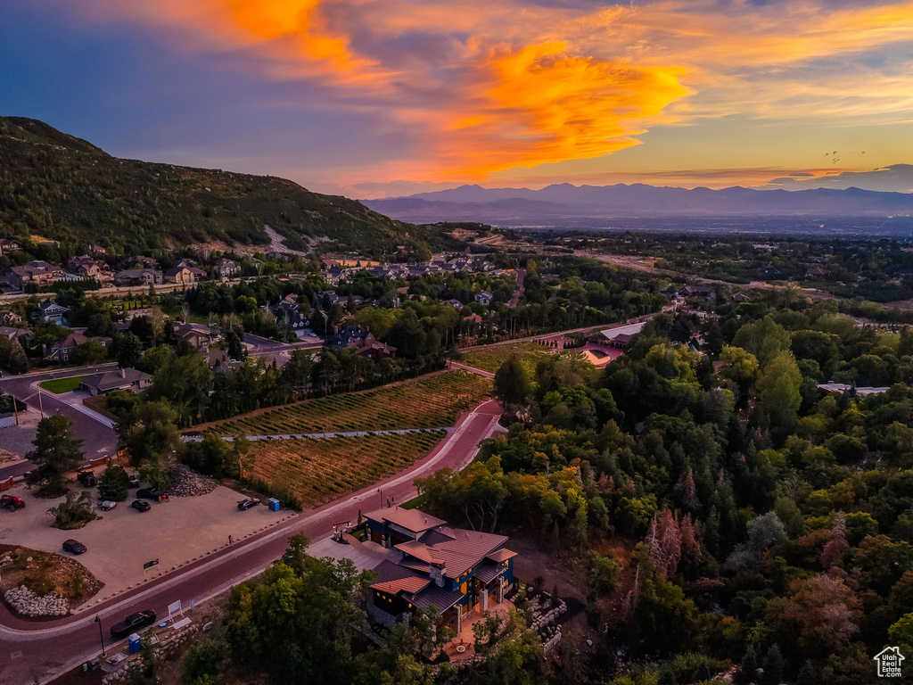 Mountainous landscape with expansive residential development, extensive tree coverage, and distant mountain ranges
