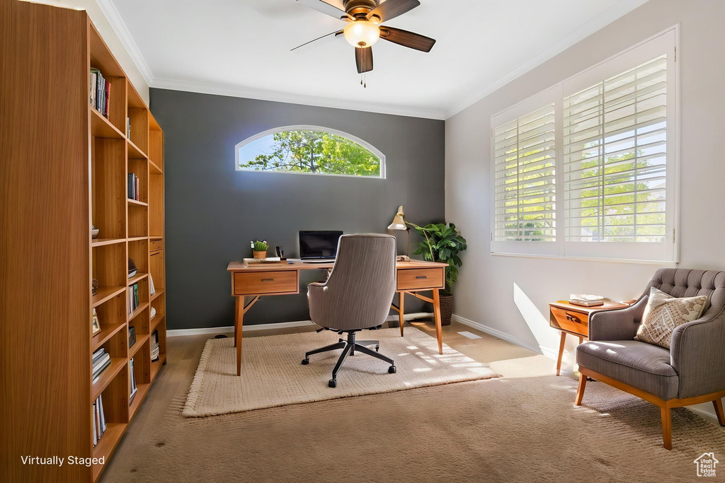 Carpeted room featuring a ceiling fan, crown molding, and a built-in wood-finish shelving unit
