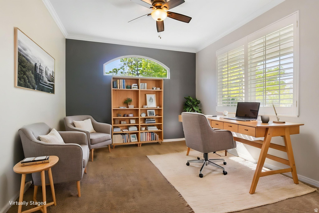 Versatile room featuring a built-in bookshelf, arched transom window, and plantation shutters