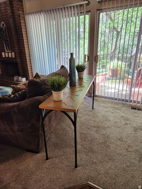 8101 S COTTONWOOD CIR photo 4