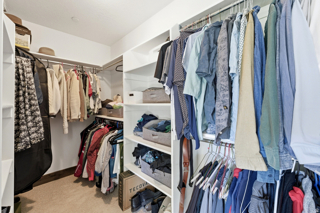 Walk-in closet featuring white built-in shelving, multiple hanging rods, and carpet flooring