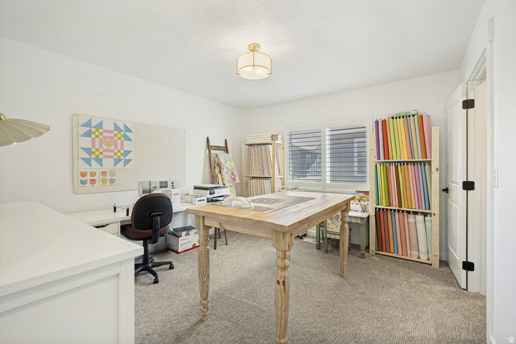 Bright room with neutral carpeting, a white door featuring matte black hardware, and a window with horizontal blinds