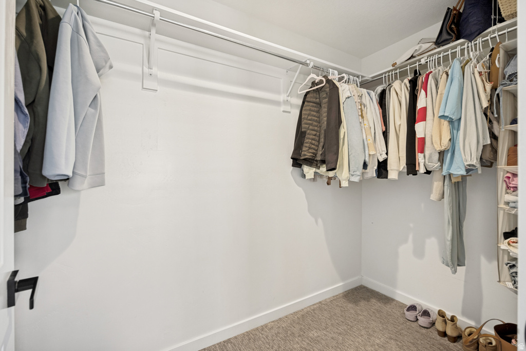 Walk-in closet featuring white walls, white baseboards, and light-colored carpet flooring