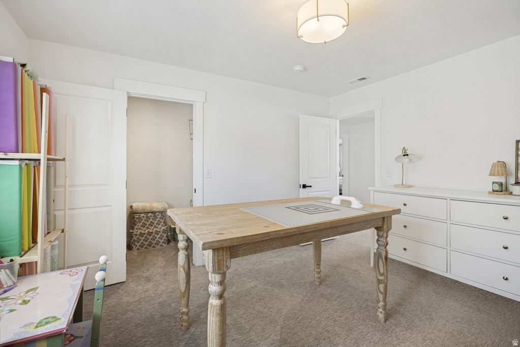 Carpeted room with a ceiling-mounted light fixture, white walls, and white trim