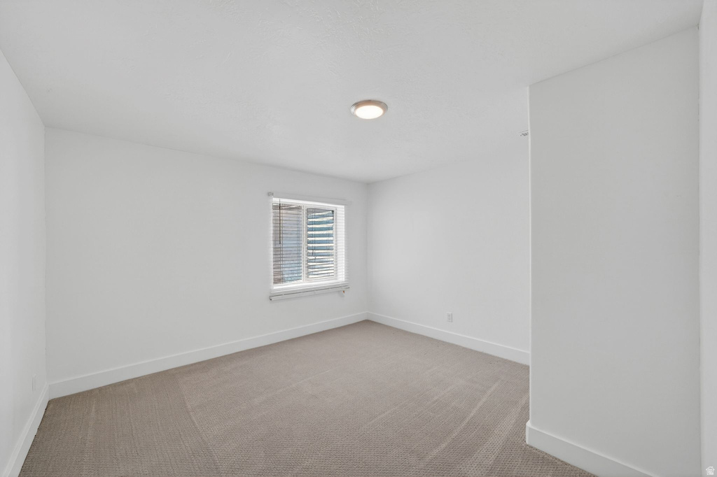 Bright interior space featuring a window with horizontal blinds, neutral carpeting, white walls, and a ceiling-mounted light fixture