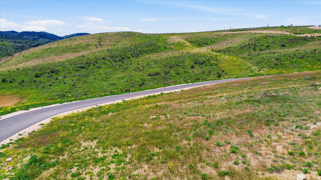 Paved road traversing rolling hills with green foliage