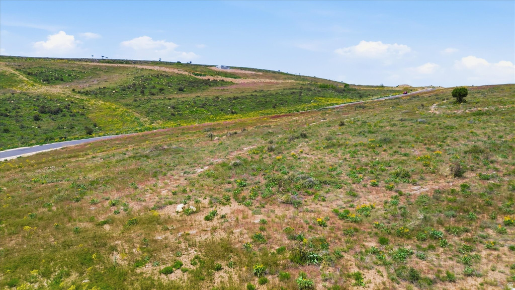 Undulating terrain with varied natural vegetation and scattered trees