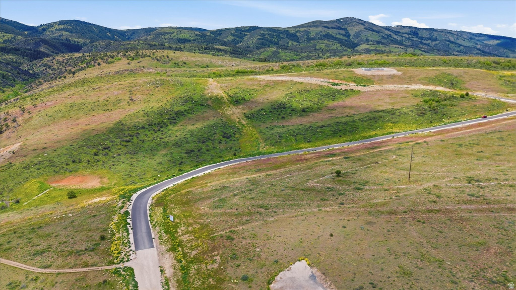 Winding paved road through established vegetation toward the mountains