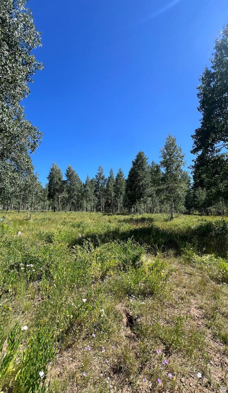 5 Adams Ave #5, Cedar City, UT 84720