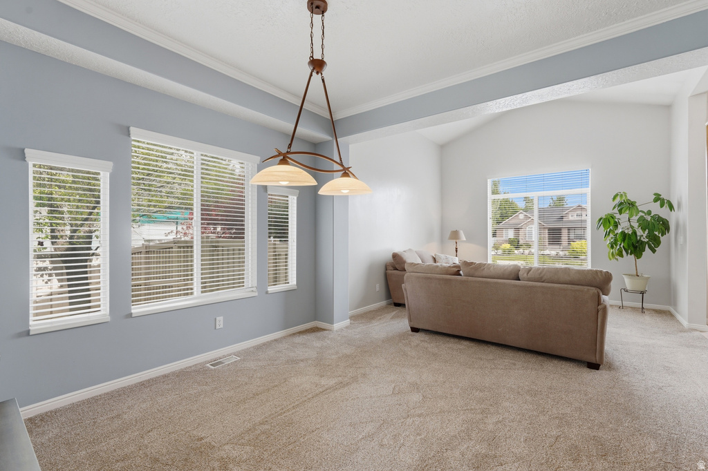 Bright living area featuring vaulted ceilings, a central chandelier, multiple windows with blinds, and neutral carpeting