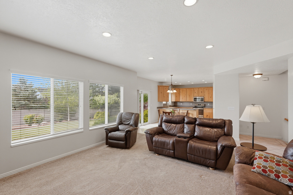 Carpeted living area with abundant natural light from multiple windows