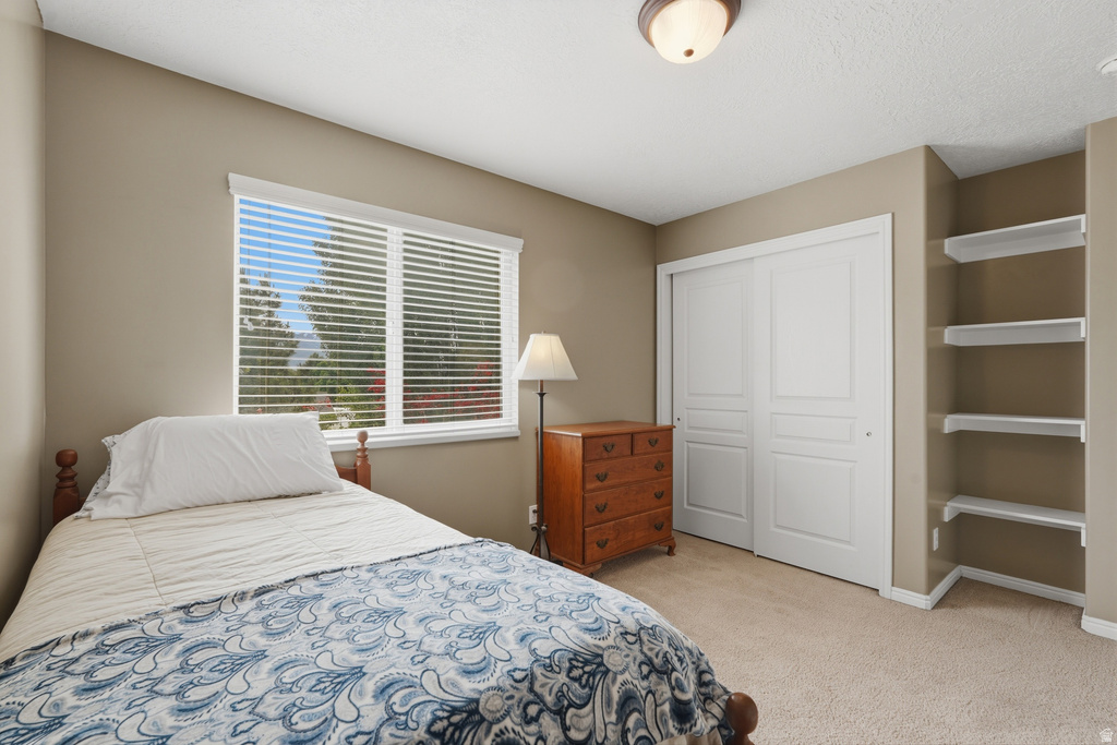 Bright bedroom featuring a large window, neutral carpeting, sliding panel closet doors, built-in shelving, and a semi-flush ceiling light fixture