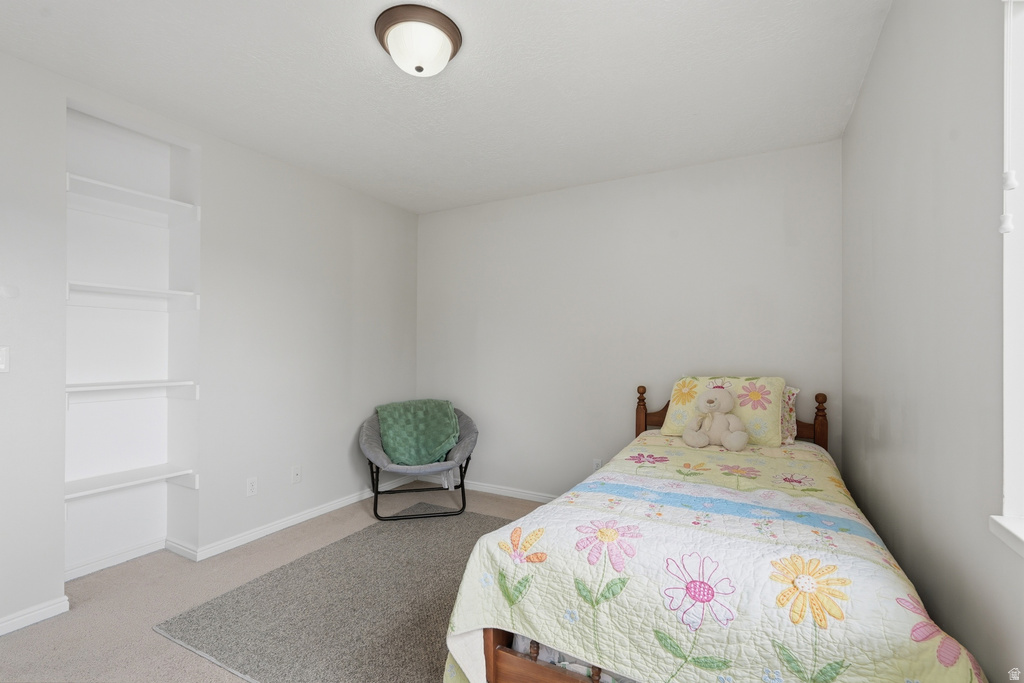 Light-filled room featuring neutral wall tones, built-in shelving, and a soft carpeted floor
