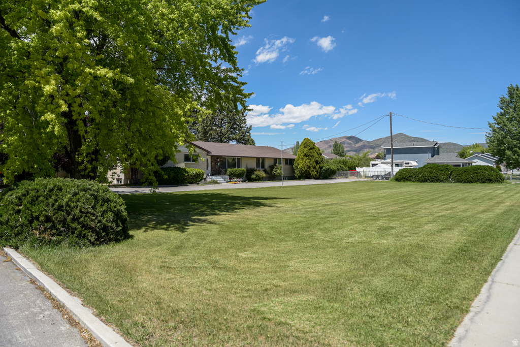 2195 N 1200 E photo 3