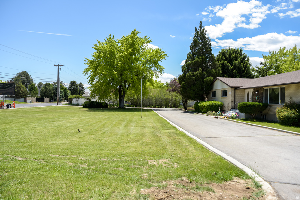 2195 N 1200 E photo 2