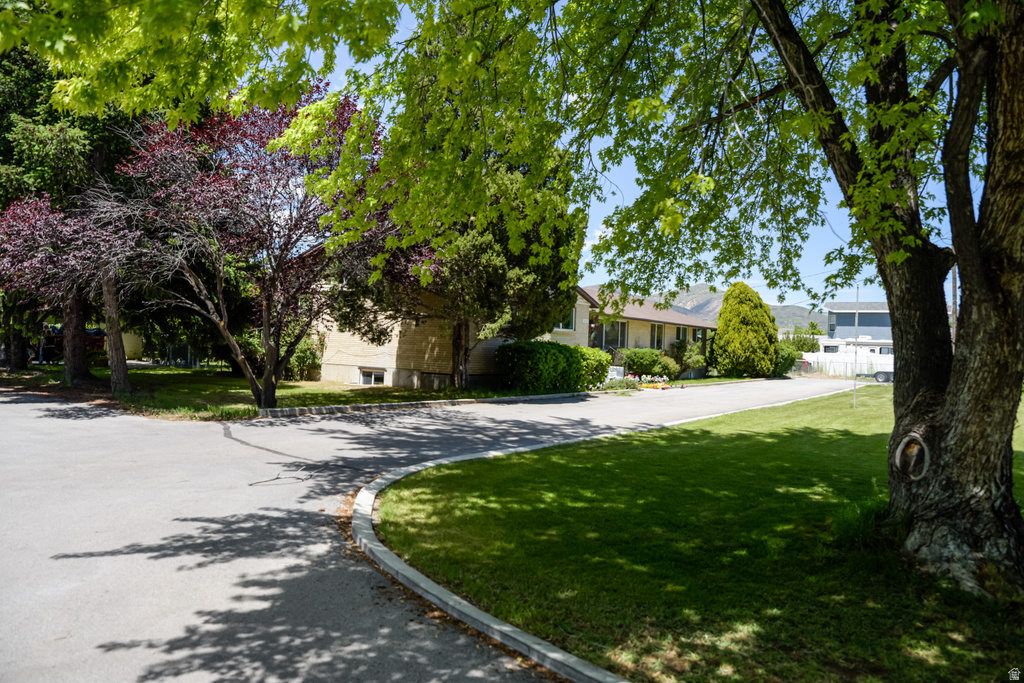 2195 N 1200 E photo 4