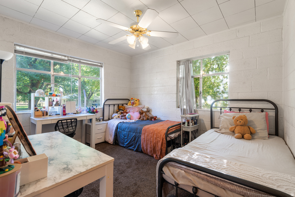 Room featuring white-painted block walls, plush carpet flooring, and two large windows providing natural illumination