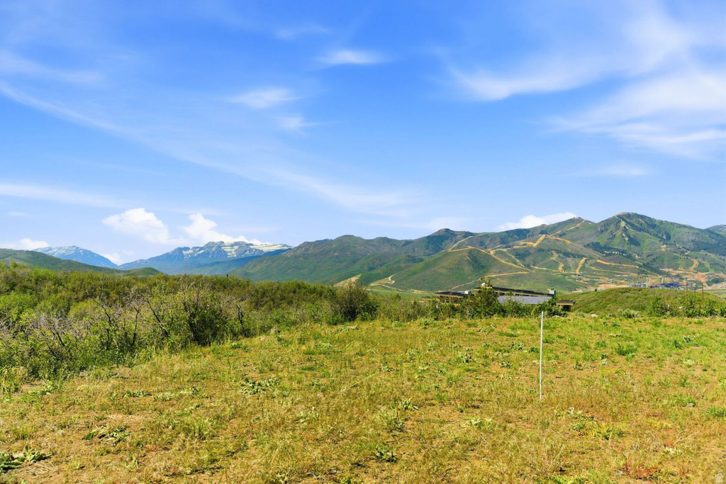 Expansive undeveloped land featuring natural terrain with diverse vegetation