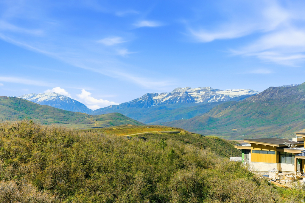 Modern architecture with a flat roofline, horizontal siding, stone accents, and expansive windows, set against a backdrop of snow-capped mountains and a verdant landscape