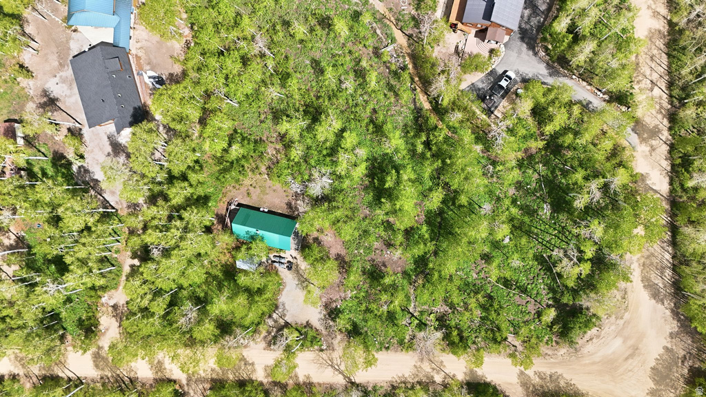 Wooded lot featuring mature trees, a gravel driveway, and a utility building with a green roof