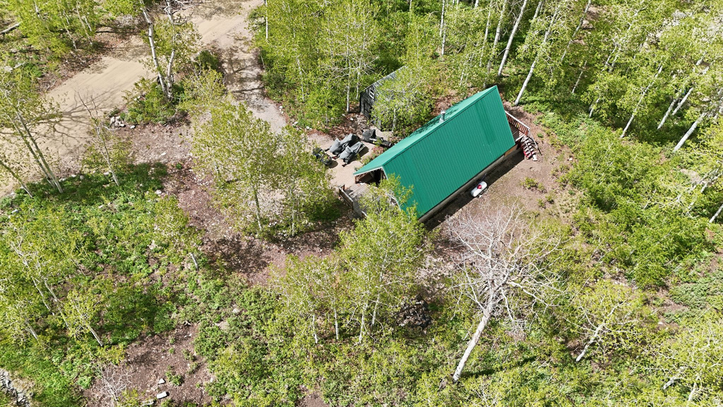 Cabin-style residence featuring a vibrant green metal roof
