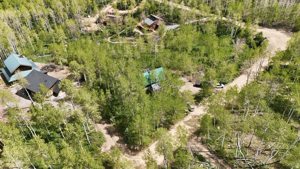 Extensive property surrounded by dense deciduous trees