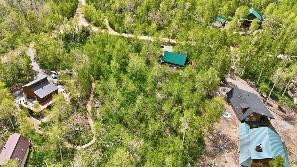Expansive wooded property featuring multiple residences with varying architectural styles