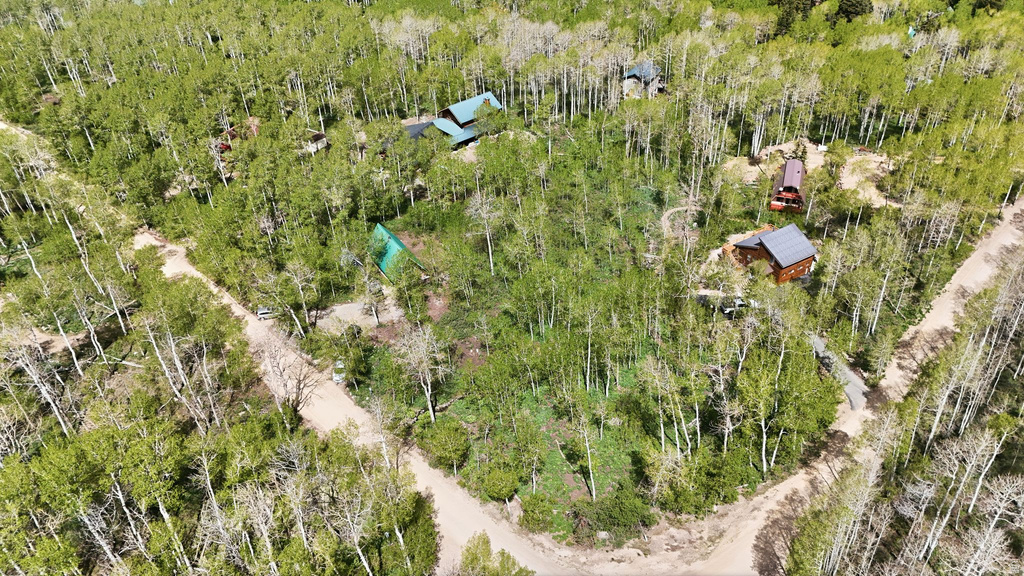 Wooded property with multiple structures featuring brown siding and green or grey roofs